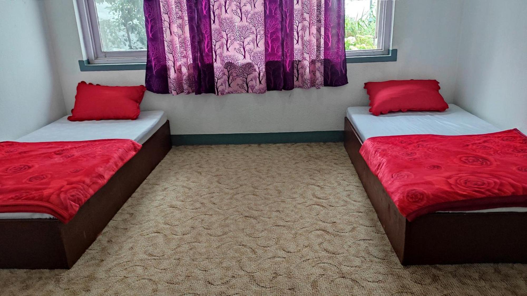 Budget Backpackers Hotel Lalitpur المظهر الخارجي الصورة