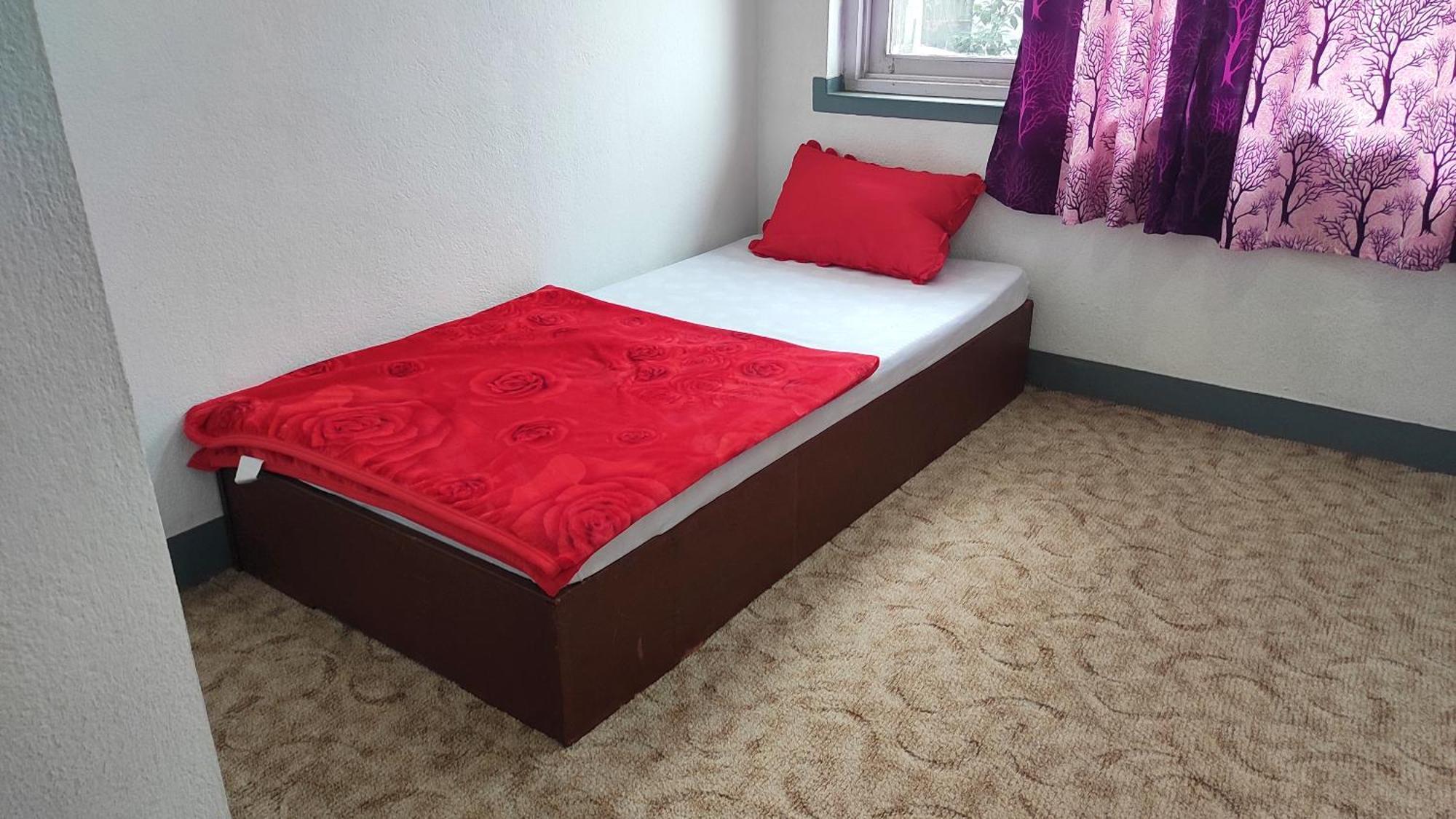 Budget Backpackers Hotel Lalitpur المظهر الخارجي الصورة