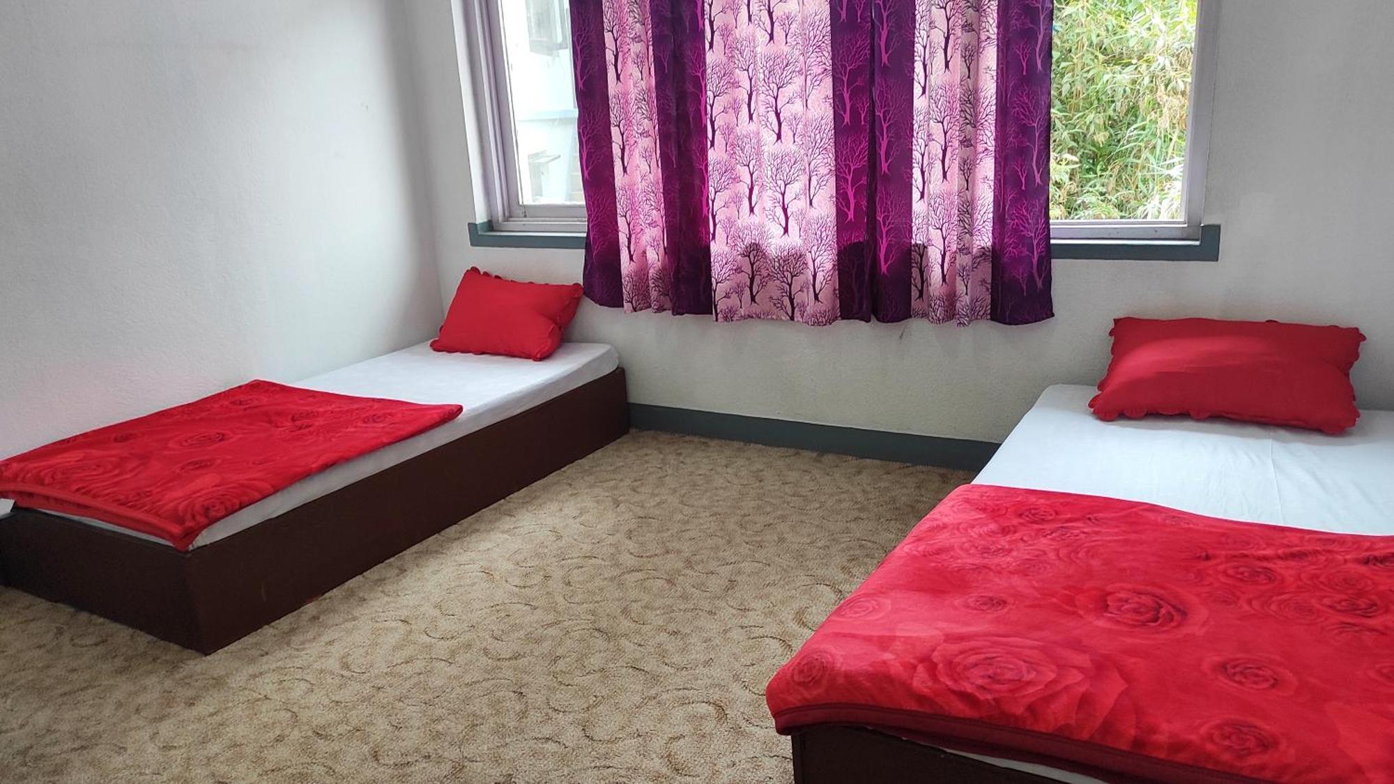 Budget Backpackers Hotel Lalitpur المظهر الخارجي الصورة